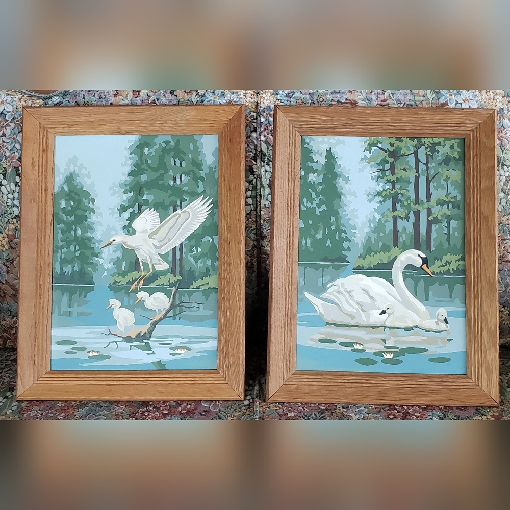 Set of Two Water Fowl Framed Paint by Numbers